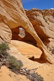 USA melody arch.JPG